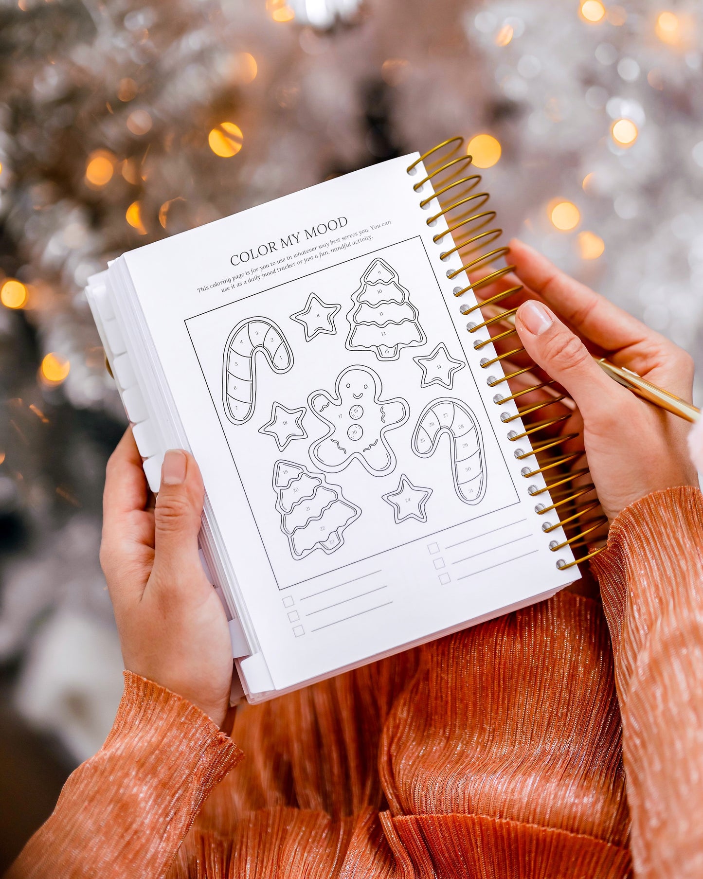 2024 Mindful Morning Planner