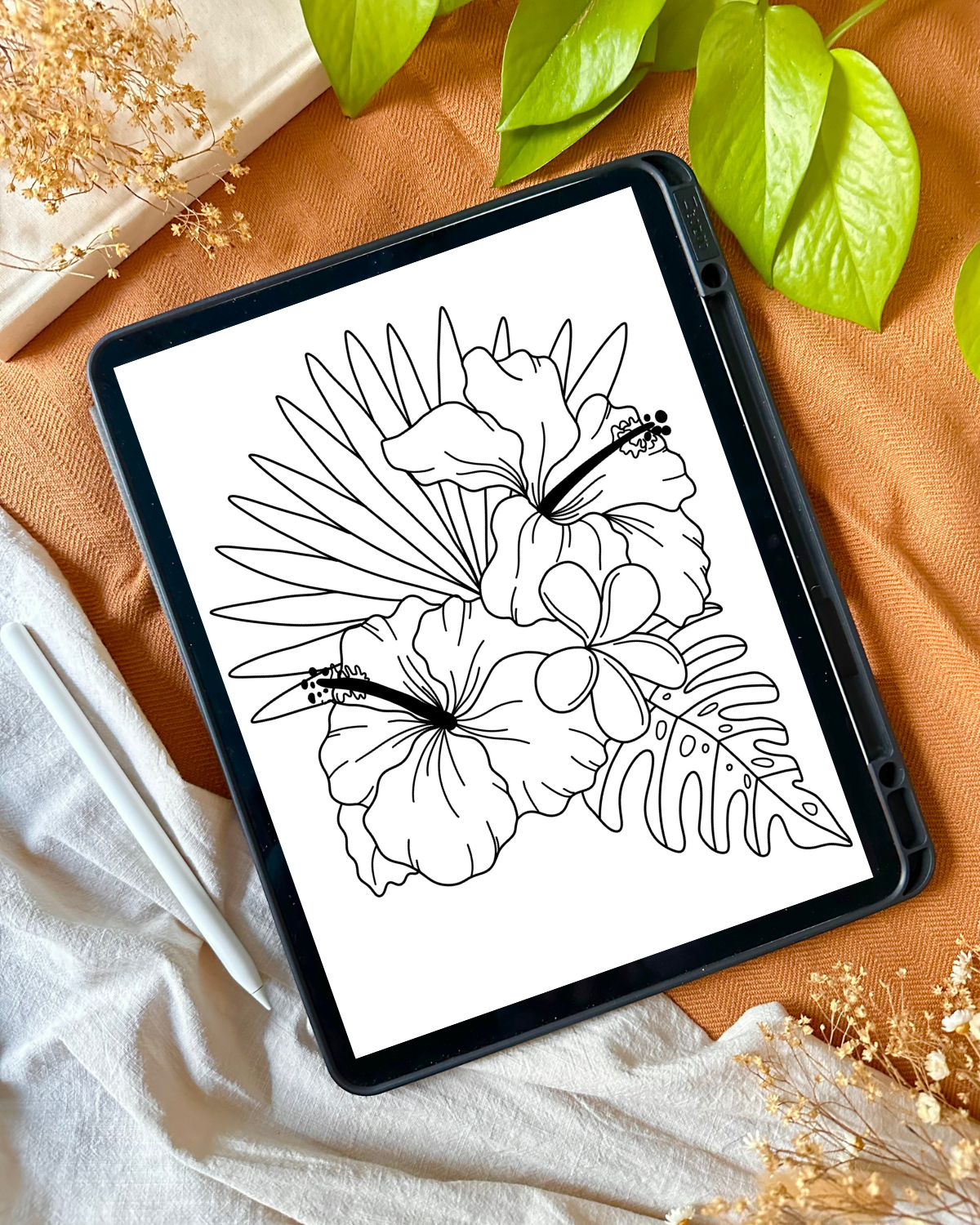 Digital Mindful Morning Coloring Book